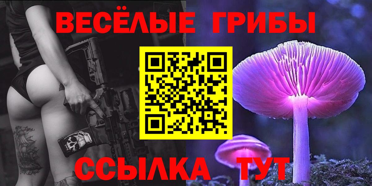 Псилоцибиновые грибы GOLDEN TEACHER Хабаровск