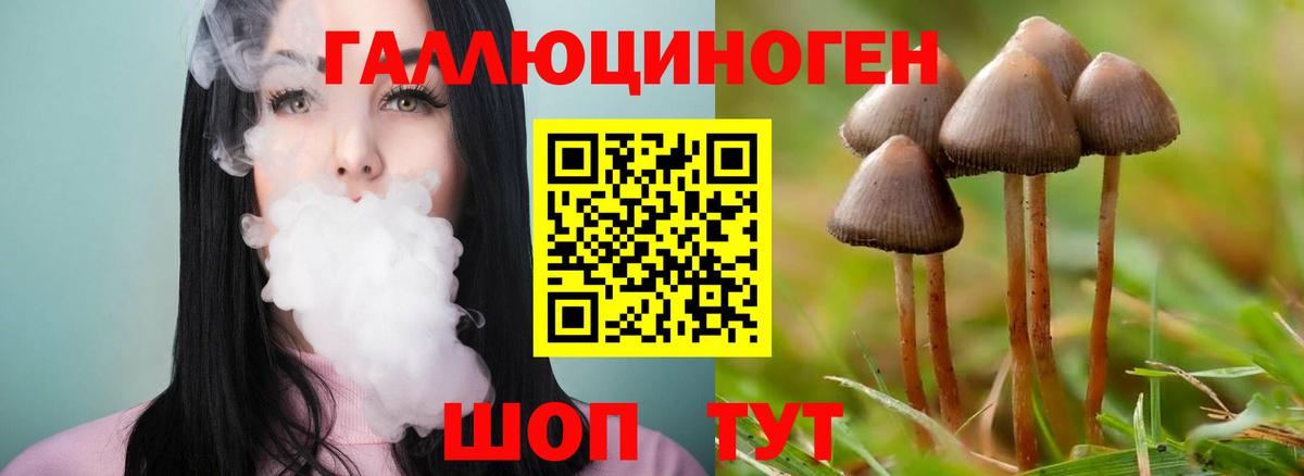 Галлюциногенные грибы GOLDEN TEACHER  Галлюциногенные грибы GOLDEN TEACHER  Хабаровск  Вход с VPN 