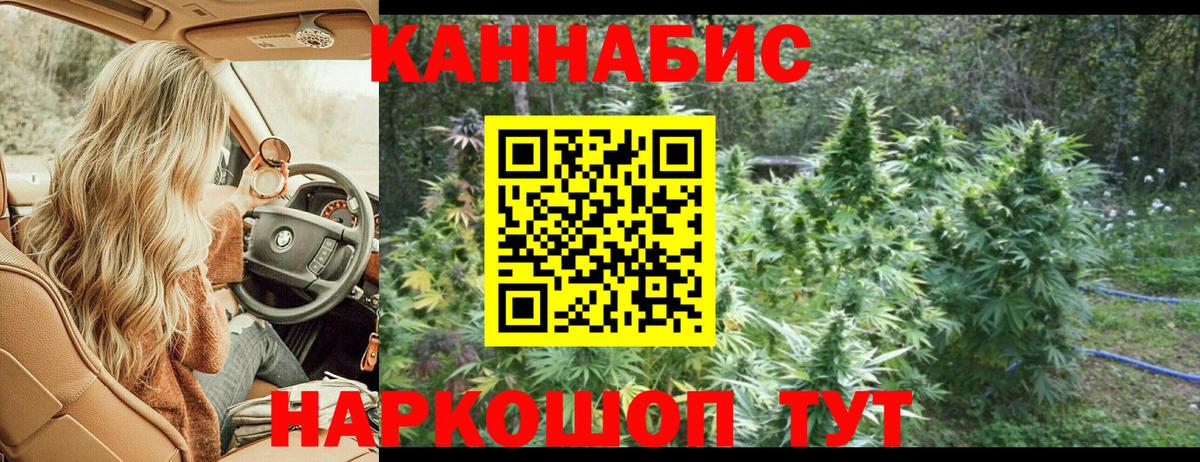 Марихуана план  МАРИХУАНА ГИДРОПОН  Вход с VPN  Конопля план  Хабаровск 